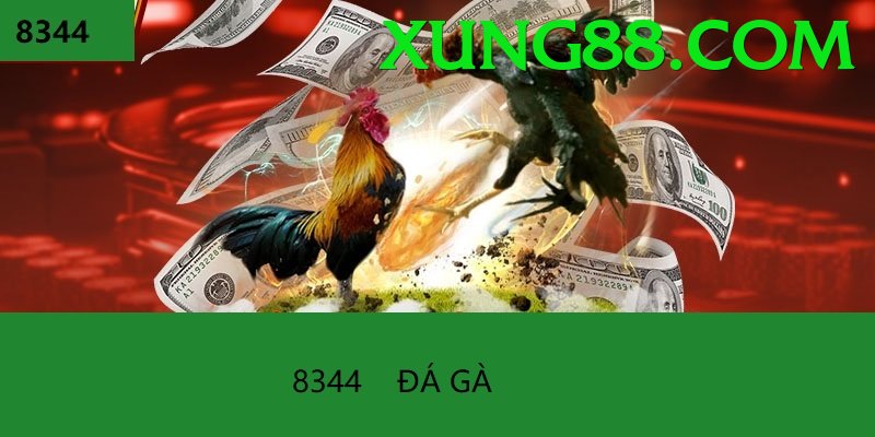 Đá Gà Trực Tiếp - xung - Game blockchain